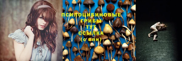 соль курить ск Арсеньев