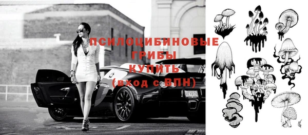 соль ск Новозыбков