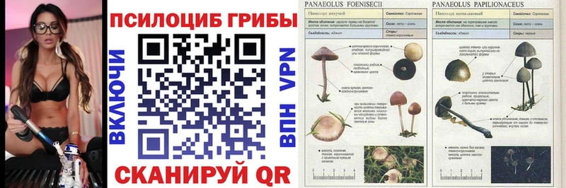 Псилоцибиновые грибы мухоморы  Ленск 